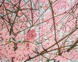 Denby Meyer, Blossom Galaxy, diptych, acrylic on canvas