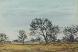 Erich Mayer, Landscape with Trees