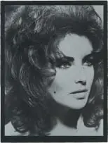 Russell Young, Elizabeth Taylor Portrait, enamel paint screenprint on black somerset paper