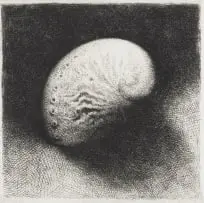 Paul Emsley, Shell, etching on paper