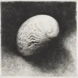 Paul Emsley, Shell, etching on paper