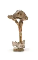 Head by Pitika Ntuli, bone and beads, on a granite base, offered Feb 2024