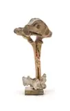Pitika Ntuli, Head, bone and beads, on a granite base