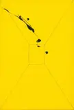 Zander Blom, Untitled (Yellow), oil on canvas