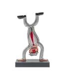 Norman Catherine, Handstand Silver Suit, oil on wood, on a wooden base