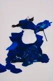 Mary Sibande, I Have Not, I Have, digital archival print, Dibond