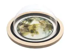Ingrid Uys, Verwrongen, oil and acetate on Fabriano paper in a Perspex bubble mount