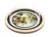 Ingrid Uys, Verwrongen, oil and acetate on Fabriano paper in a Perspex bubble mount