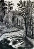 Cecilia Steinberg, Jonkershoek VIII, 2023, charcoal on Fabriano paper