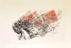 Nicky Liebenberg, Blaze, 2023, drypoint etching and chine collé on Fabriano Rospina paper