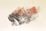 Nicky Liebenberg, Blaze, 2023, drypoint etching and chine collé on Fabriano Rospina paper