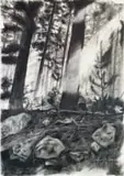 Cecilia Steinberg, Jonkershoek IX, 2023, charcoal on Fabriano paper