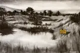 Theophilus Rikhotso, The Pond, charcoal and acrylic on Fabriano paper