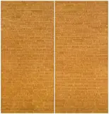 Willem Boshoff, About Face, dyptich