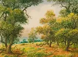 Gerard Bhengu, Landscape with Trees