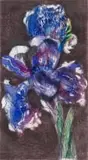William Kentridge, Dutch Iris II, etching and aquatint in 16 colours on Vélin d'Arches Blanc