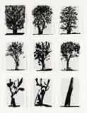 Universal Archive (Nine Trees) by William Kentridge, linocut printed on pages from Shorter Oxford English Dictionary, sold Nov 2023