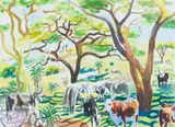 Nichola Alice Leigh, Nguni Cattle at Cumberland, watercolour on paper