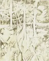 Thijs Nel, Forest Trees, lithograph on paper