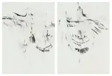 Andrew Verster, Abstracted Birds