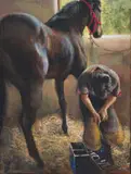 Mari Vermeulen-Breedt, Farrier Shoeing the Horse or White Eagle