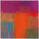 Paul Blomkamp, Highveld Veld High (17)