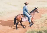 Sipho Ndlovu, Searching for a Missing Bull