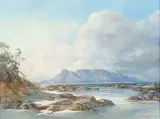 Gabriel de Jongh, Table Bay