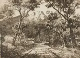 Tinus de Jongh, Houtbay Avenue, Cape, etching on paper