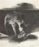 Albert Adams, Hyena, graphite on paper
