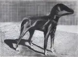 Albert Adams, Masked Dog, graphite on paper