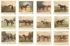 Franklin Brooke Voss, Famous American Thoroughbreds, twelve, 1934, hand coloured etching on paper
