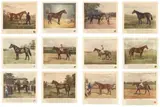 Franklin Brooke Voss, Famous American Thoroughbreds, twelve, 1934, hand coloured etching on paper