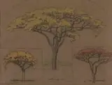 Jacobus Hendrik Pierneef, Boomstudies, Waterberg, pastel and charcoal on toned paper