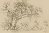 Gregoire Boonzaier, Trees, charcoal on paper