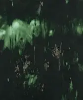 Jake Aikman, Night Blooms II, oil on board