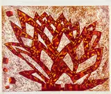 Trudi Dicks, Hawarthia (sic) Lolly, My Garden, My Lollipop Garden series, colour linocut on paper