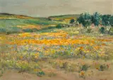 Landscape, Namaqualand by Hugo Naude, oil on board, sold Sep 2023