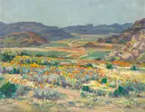 Namaqualand Flowers by Hugo Naude, oil on board, sold Sep 2023
