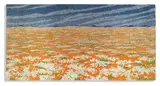 Esias Bosch, Namaqualand