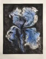 William Kentridge, Black Iris, hand-coloured etching and drypoint on paper