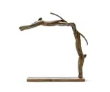 Guy Du Toit, Double Hare