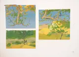 The Old Fig Tree by Alice Goldin, screenprint on paper, sold Sep 2023