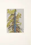 Autumn II by Alice Goldin, screenprint on paper, sold Sep 2023