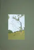 Morning Mist State I by Alice Goldin, screenprint on green paper, sold Sep 2023