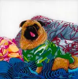 Norman O'Flynn, Pug Life 2, acrylic on plexi glass