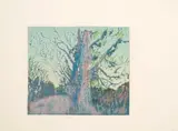 Alice Goldin, Platanes State I