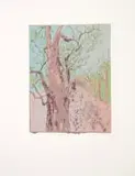 Alice Goldin, Jardin des Plantes State I