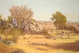 Martin Koch, Bushveld Landscape, oil on canvas