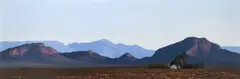 Peter Bonney, Karoo Landscape, oil on board